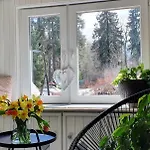 Ferienhaus Artysty