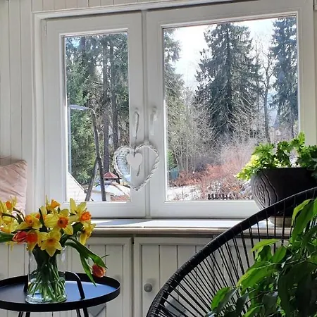 Vakantiehuis Artysty